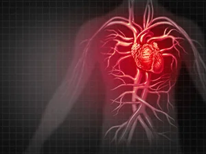 A importância do check-up vascular A importância do check-up vascular